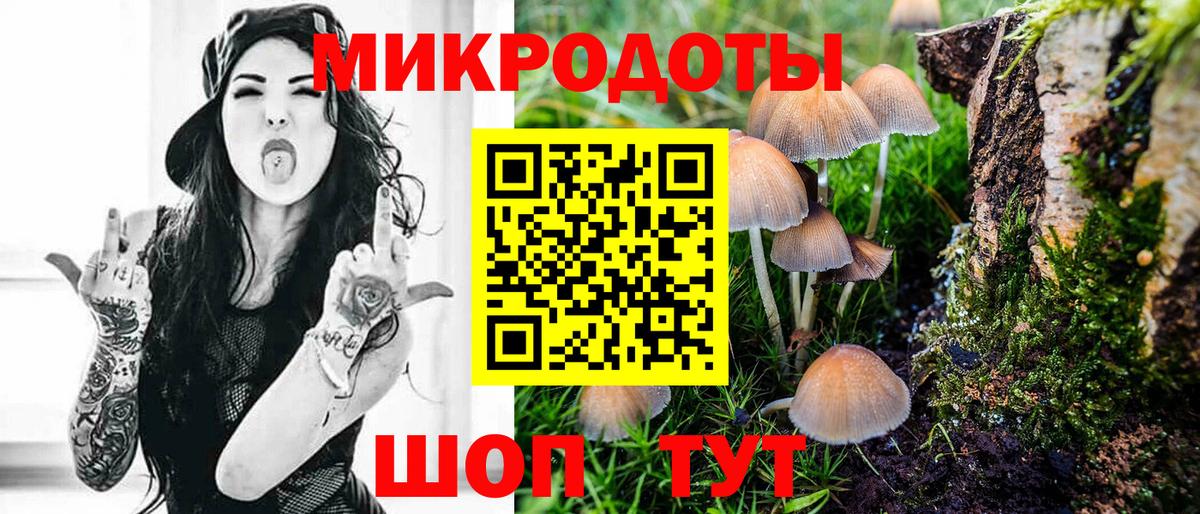 Галлюциногенные грибы мицелий Кызыл