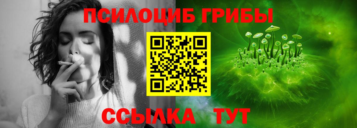 Псилоцибиновые грибы прущие грибы  Вход с VPN  Кызыл 