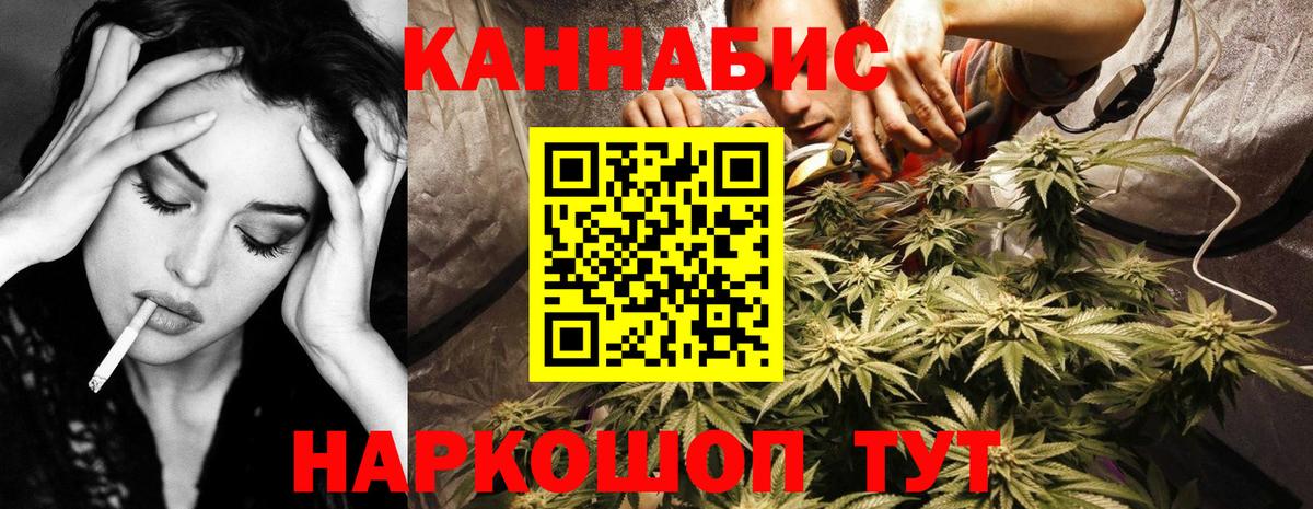 Бошки марихуана VHQ  Бошки марихуана конопля  Вход с VPN  Кызыл  Бошки марихуана OG Kush  Бошки Шишки индика 